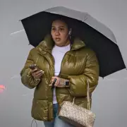 Birmingham Mother Banned After Starving XL Bully Dog to Death