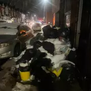 Birmingham nurse's distress over fly-tipping 'filth' and dead animal near home