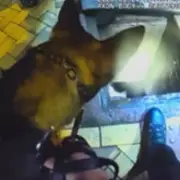 Birmingham Police Arrest Cable Theft Suspects After Dramatic Manhole Standoff