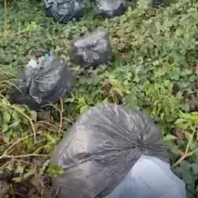 Coventry Resident Fined Over £4,100 for Illegal Waste Dumping in Birmingham