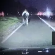 Cyclist's Google Maps Blunder Leads to M6 Toll Motorway Ride