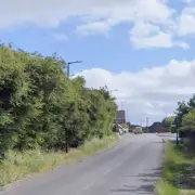 Dead Horse Dumped in Walsall with Rope Around Neck Sparks RSPCA Probe