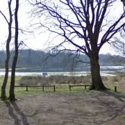 Dramatic Ice Rescue: Firefighters Scramble to Save Dogs at Shropshire Lake