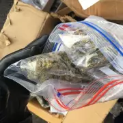 Dudley Sees Sharp Rise in Children Needing Drug and Alcohol Treatment