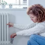 E.ON Joins British Gas & Octopus: £150 Energy Bill Discounts Confirmed