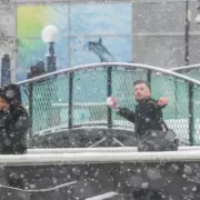 Four English Counties Set to Dodge February Snow Bomb as West Midlands Braces for Impact