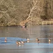 Heroic Rescue in Frozen Essex Lake: Two Men Stuck Saving Dog
