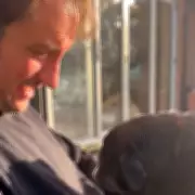 James Bye's Heartbreak as Beloved Dog Beefy Dies Before Farm Move