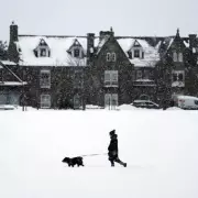 Met Office Warns of Significant Snowfall Up to 20cm as Storm Chandra Hits UK
