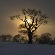 Midlands Braces for Fresh Snow on Sunday: Cheadle Could See 3cm