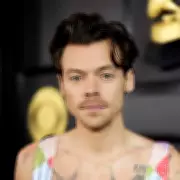 Midlands' Top Taxpayers Revealed: Betting Tycoons and Pop Star Harry Styles Lead List