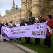 MPs to Grill DWP Over WASPI Scandal as Ombudsman Flags 'Serious Concerns'