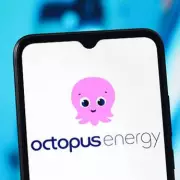 Octopus Energy Customers Report £120 Monthly Bill Reduction Through Green Upgrades
