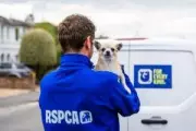 RSPCA Launches Recruitment Drive for Animal Rescue Officers in West Midlands