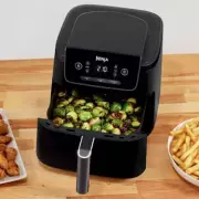 SharkNinja's European Sales Soar Past £1.2bn on Air Fryer Frenzy