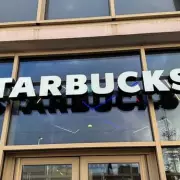 Starbucks UK Enforces 'One Per Person' Rule as Viral Bear Cup Sparks Frenzy