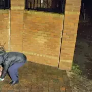 Stockport Family Targeted in 'Appalling' Hate Crime as Pig's Head Mounted on Gate