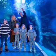 Storm Goretti Forces Closure of Birmingham's Sea Life Centre and Cadbury World