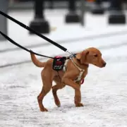 Three English Counties to Avoid Major February Snowfall
