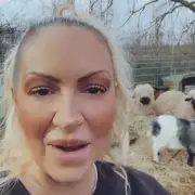 Tragic Fire at Jodie Marsh's Essex Animal Sanctuary Claims Two Lives