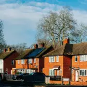 UK Alert: Asian Hornet Invasion Prompts 'Five Metre Rule' Warning