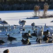 UK Braces for 600-Mile Snow Bomb: Only Three Counties to Escape