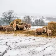 UK Braces for 'Snow Bomb' Blizzard from Thursday, 12 Counties on Alert