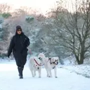 UK Snow Bomb Alert: 12 Hours of Non-Stop Flurries to Hit This Sunday