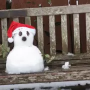 UK Snow Bomb Worsens: -6C and 10-Inch Flurries Forecast for January 22