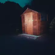 Winter Fox Mating Season: UK Alert for Eerie Screams & Pet Safety