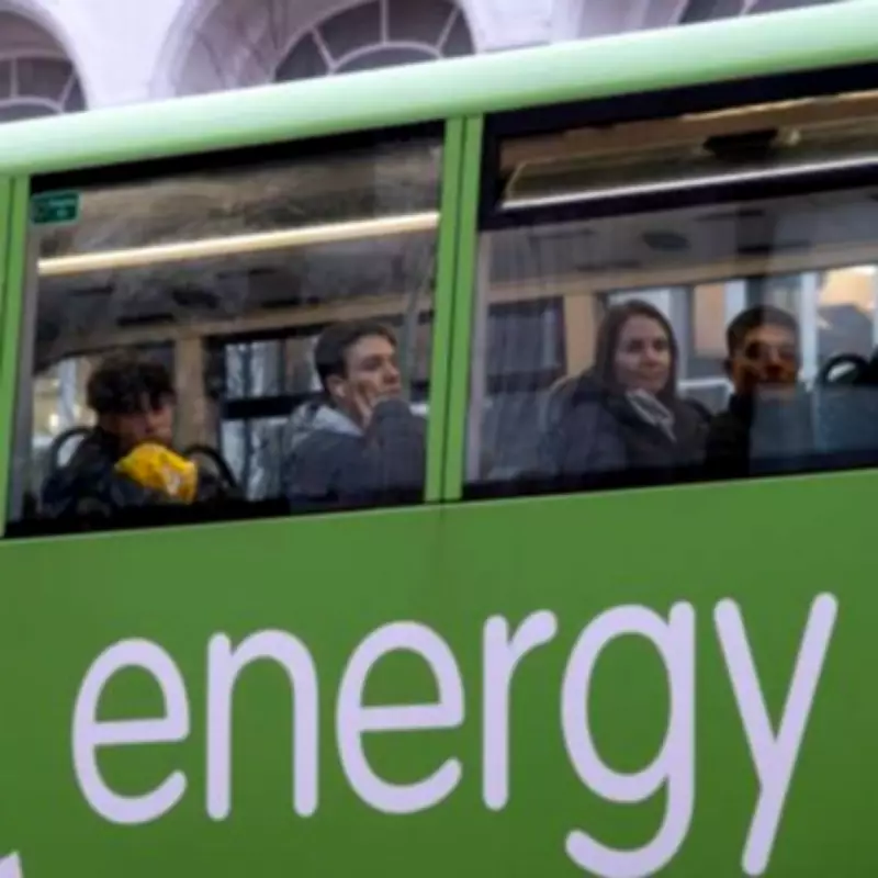 OVO Launches Commercial Solar Service to Slash Business Energy Bills by 50%