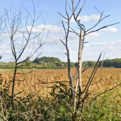 AAIB Probes Fatal Light Aircraft Crash Near Lichfield in West Midlands