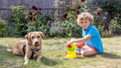 Autism Assistance Dog Albie Transforms Life for Seven-Year-Old Seb in Grantham