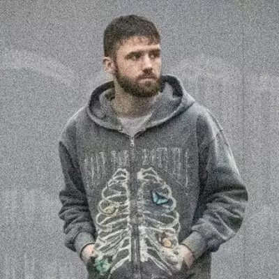 Birmingham Man Faces Jail After 'Bigman' Dog Attack Leaves Victim Crawling for Safety