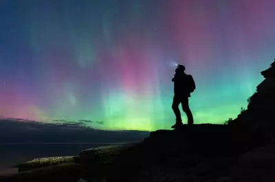 Brits Set Alarms for Nature in 2026 as Travelers Prioritize Rare Moments