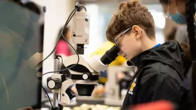 Cambridge Festival Family Weekend: A Playground of Ideas for All Ages