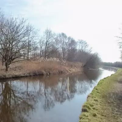 Jogger's Quick Thinking Saves Woman from Icy Canal Peril in Staffordshire