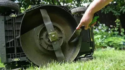 Lawn Expert Warns: Avoid Early Spring Mowing to Prevent Grass Damage