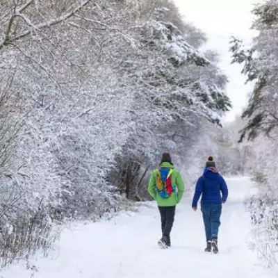 Major 'Beast from the East' Blizzard Forecast to Hit UK with Snow Next Week