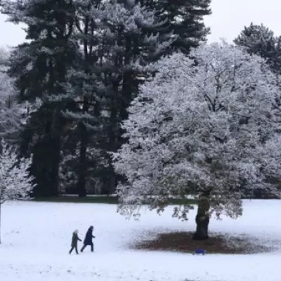 Met Office Issues Snow Warning for Midlands Towns: Up to 15cm Expected