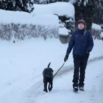 Met Office Issues Snow Warning for West Midlands: Exact Times and Impacts