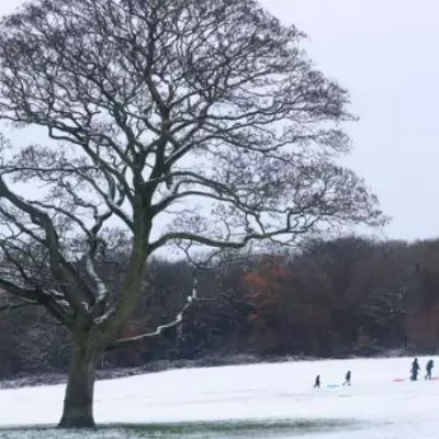 Met Office Issues Snow Warnings for 159 UK Areas This Weekend