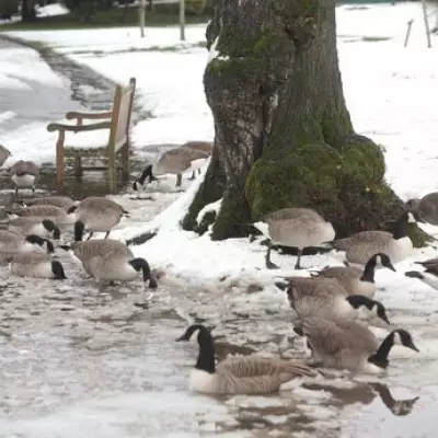 UK Braces for Six-Day Snow Blizzard with '144-Hour' Weather Event Forecast