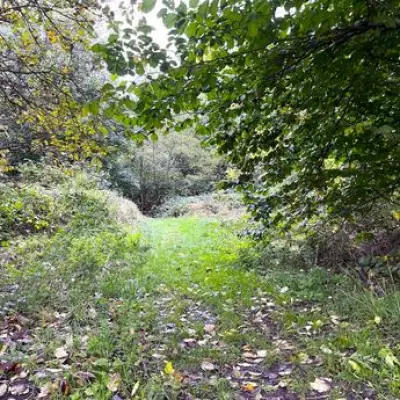 Walsall Council to Approve £1m and 125-Year Lease for New Free School in Reedswood Park