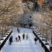 11 English Counties Brace for 20cm Snow Bomb Next Week - Full List