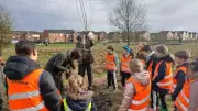 Cannock Chase Blossoms with New Fruit Trees and Mini Forest Planted by Schoolchildren