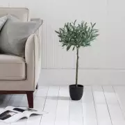 Dunelm Slashes Price of 'Stunning' Artificial Olive Tree by 50% to Just £20