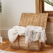 Dunelm's £15 Storage Trunks Praised as 'Smart' and 'Tidy' by Shoppers