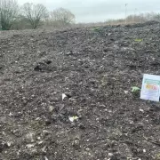 Environment Agency Orders Removal of Waste from Walsall Arboretum Flood Works