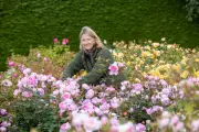Expert Reveals February Rose Care Secret for Summer Blooms